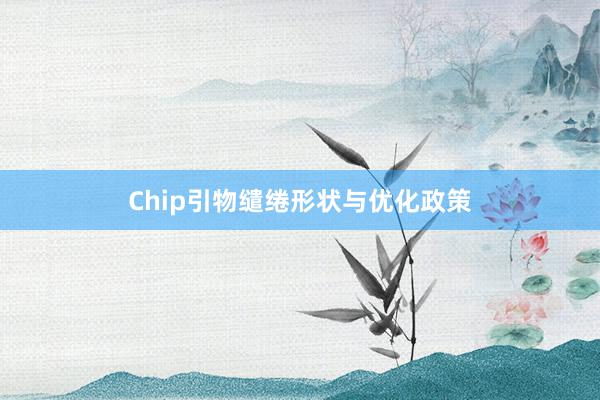 Chip引物缱绻形状与优化政策