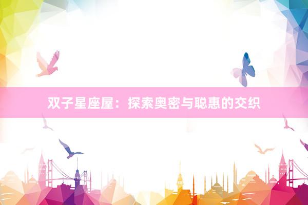 双子星座屋：探索奥密与聪惠的交织